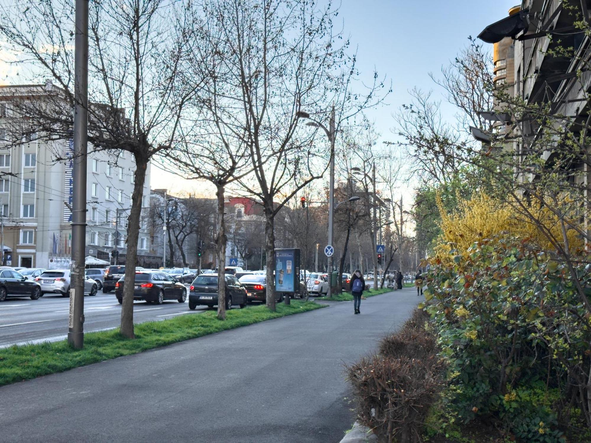 Central Retreat Apartments Bucarest Extérieur photo